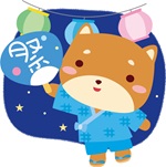 お祭り、うちわを持つ柴犬